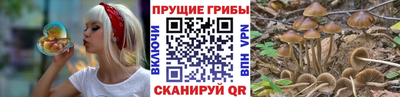 Галлюциногенные грибы ЛСД  Невинномысск 